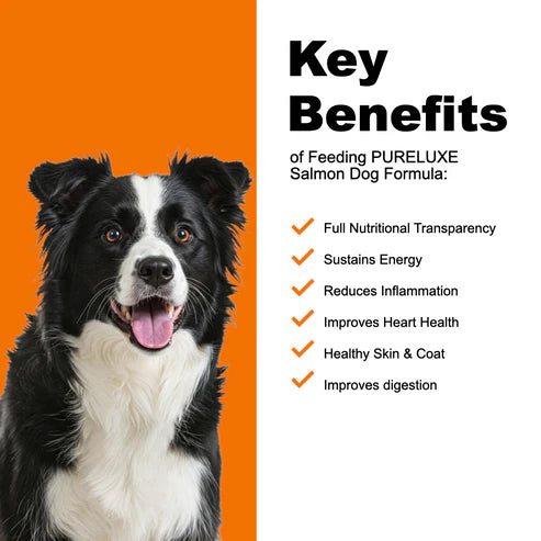 PureLuxe Grain Free Holistic - Salmon & Sweet Potatoes 22 lbs.