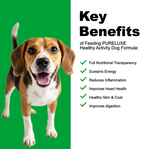 PureLuxe Grain Free Holistic - Indoor Puppy & Highly Active (Turkey & Salmon)