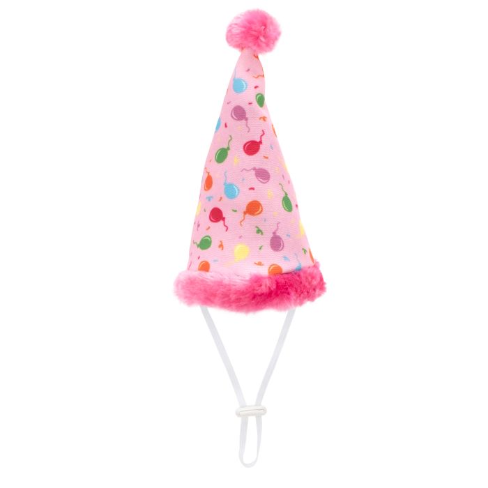 The Worthy Dog Party Hat